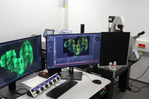 Leica-LSM für die nichtlineare Mikroskopie, Fluoreszenzlebensdauermikroskopie mit Weißlichtlaser, Einzelphotonendetektion.