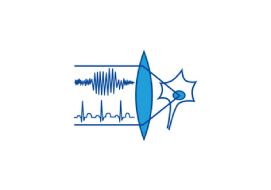 Logo des IZKF am UKJ
https://www.uniklinikum-jena.de/izkf/