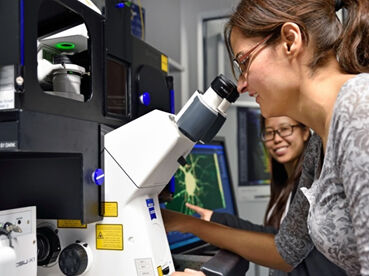 Fig. 3: Mit hochaufgelöster 3D-live-Mikroskopie (Maryam Izadi (vorne) und Wenya Hou (hinten)) konnten Biochemiker des Uniklinikums Jena einen für den Bau des Gerüsts von Nervenzellen wichtigen Signalweg aufklären.