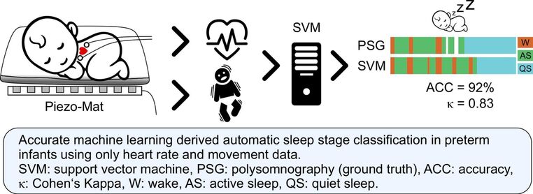 Graphical Abstract