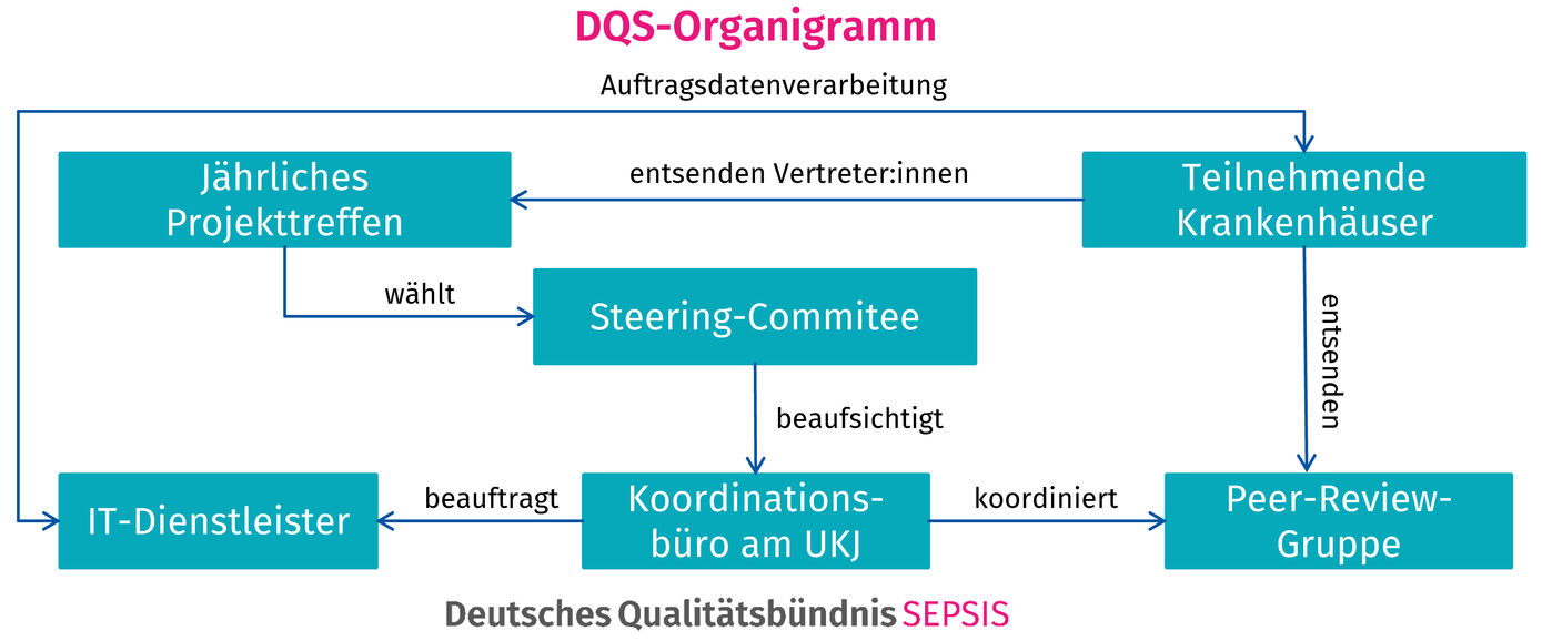 Organigramm