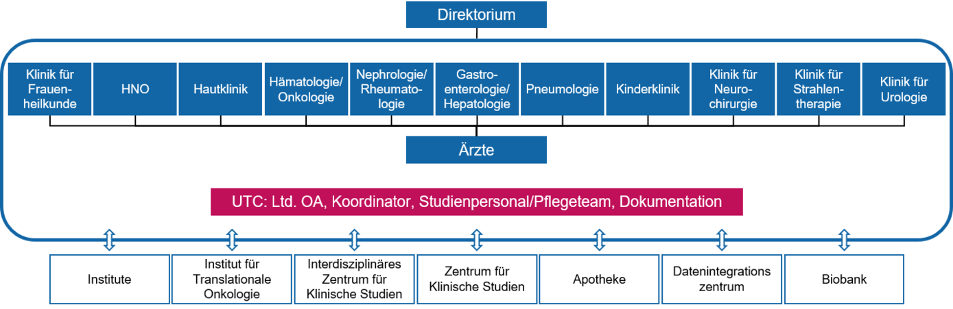 Strukturelle Organisation der interdisziplinären Studieneinheit.