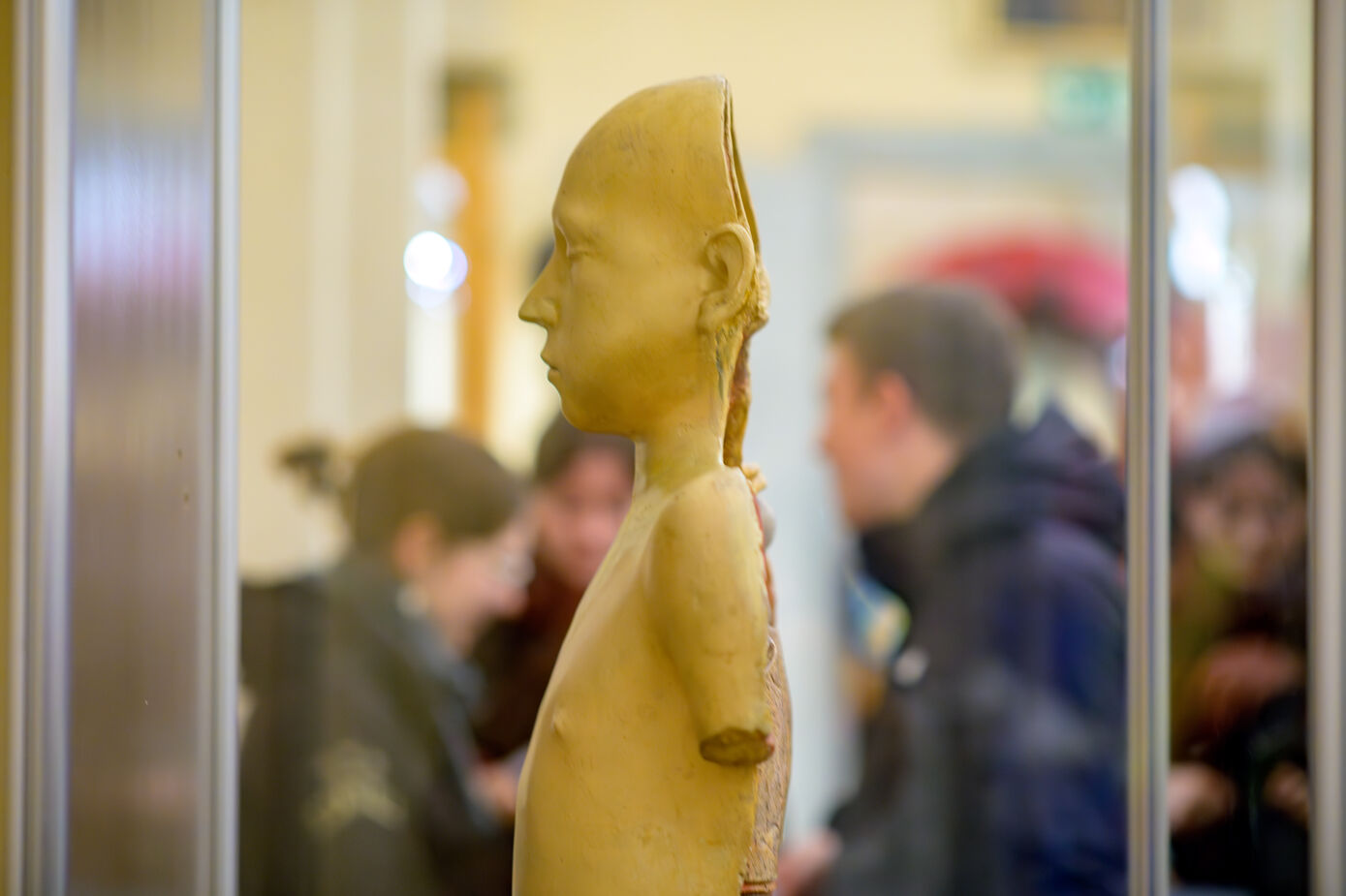 Eine Gruppe in der Ausstellung (Foto: Inka Rodigast, UKJ)